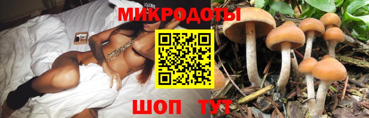 Псилоцибиновые грибы мицелий Всеволожск